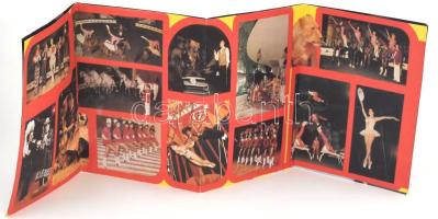 ,,Halló, itt Bukarest", a Fővárosi Nagycirkusz román vendégművészek közreműködésével tartott el...