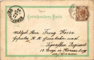 1898 (Vorläufer) Sankt Pölten, Grüsse aus dem Traisenthale. St. Pölten, Schloss Ochsenburg, Schloss ...