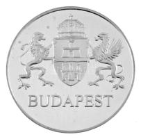 DN "Budapest / Fővárosi Önkormányzat 2002-2006" peremén jelzett Ag emlékérem dísztokban (33,75g/0.925/42,5mm) T:PP, folt