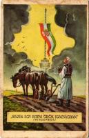 Hiszek egy isteni örök igazságban. Hiszekegy. Kiadja az Ereklyés Országzászló Nagybizottsága / Hungarian irredenta propaganda, Hungarian flag, Treaty of Trianon s: Lamoss (gyűrődések / creases)