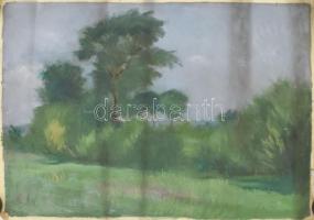 Jelzés nélkül: Tájkép Olaj, vászon, vakráma nélkül, feltekerve, apró sérülésekkel, 55x45 cm