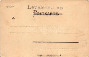 Salzburg, Hohensalzburg / castle. Würthle &amp; Sohn Art Nouveau frame with Franck coffee substi...