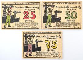 Németország / Weimari Köztársaság / Blumenthal (Hannover) 1921. 25pf - 75pf (3xklf) szükségpénz T:AU...