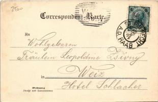 1904 Sankt Ruprecht an der Raab, Marktplatz, Johann Schwarz Gasthaus / market square, inn. Verlag Jo...