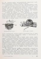 Dr. Vertse Albert: A kert madárvilága. Dr. Csörgey Titusz, Vezényi Elemér és Nécsey István festménye...