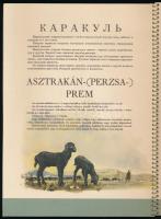 cca 1960-1970 Szovjet szőrme- és prémárúk. Szovjet szőrme és prémkatalógus, de benne szőnyegek is! H...