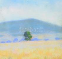 Leidenfrost Pál (1889-?): Esztergom környéki táj. Pasztell, papír. Jelezve jobbra lent. Dekoratív, ü...