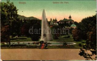 Sinaia, Vedere din Parc. Ad. Maier &amp; D. Stern / park (crease)