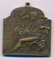 Ifj. Vastagh György (1868-1946) 1909. "XVI. Nemzetközi Orvos Kongresszus - Budapest" kétoldalas bronz plakett füllel. "MCMIX BUDAPESTINI / CONVENTUS MEDICORUM XVI INTERNATIONALIS" (44x40mm) T:XF