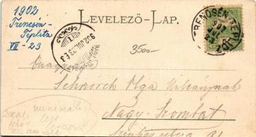 1902 Beckó, Beczkó, Beckov; a Vág völgye, vár / Das Waagthal / valley, castle (vágott / cut)