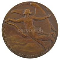 Berán Lajos (1882-1943) 1934. "Luther Márton" kétoldalas bronz emlékérem. "D LUTHER M...