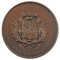 Franciaország 1845. "Childebert és Ultrogothe / Lyoni Civil Kórházak Igazgatósága" peremén...