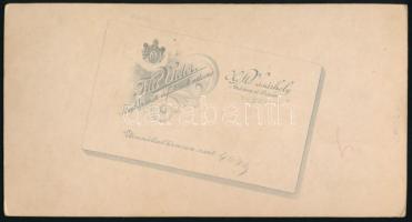 cca 1910 Fiatal lány virágos jelmezben, keményhátú fotó Till Victor hódmezővásárhelyi műterméből, 20...