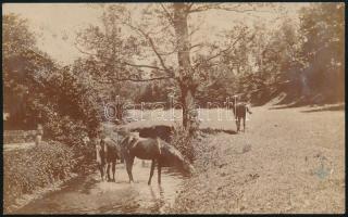 1906 Képeslap " "LAVOCZNE - BATYU 110 SZ" vasúti bélyegzéssel / Postcard with railway...