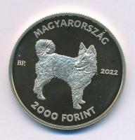 2022. 2000Ft Cu-Ni-Zn "Mudi" kapszulában, színes MNB tájékoztatóval T:P