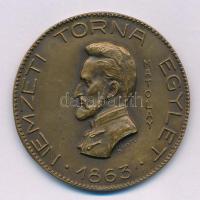 Sóváry János (1895-1966) / Ludvig József ~1930. "Nemzeti Torna Egylet - 1863 - Matolay / Épség - Erő - Egyetértés" kétoldalas bronz emlékérem (40mm) T:XF patina