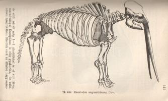 Csillagászati és geológiai-paleontológia kolligátum. Négy tudományos ismeretterjesztő munka a század...