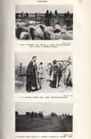 Teleki Pál - Koch Ferenc - Kádár László (szerk.): 
A gazdasági élet földrajzi alapjai. I-II. félköt...