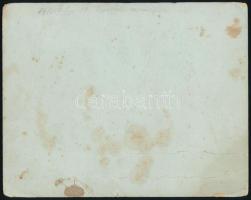 1910 Bp. II., Hidegkúti út 20., Peszneker József "Veronika" vendéglőjében mulatozó kalauzo...