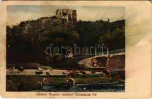 Csicsvaalja, Podcicva (Telekháza, Sedliská); Varannó vidéke, vár, híd. Spira Ábrahám kiadása / Hrad Cicva (Cicava) / castle near Vranov nad Toplou, bridge (fl)