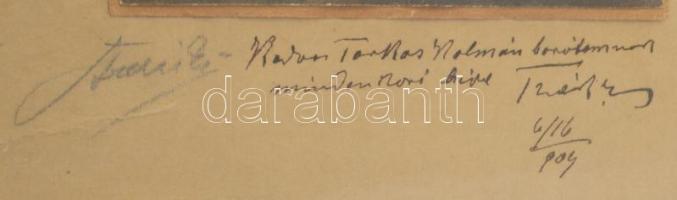 1909 Thék Endre (1842-1919) asztalosmester, bútor- és zongoragyáros, az első hazai bútorgyár alapító...