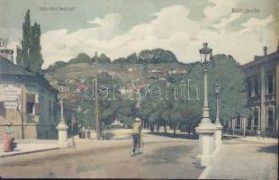 Kolozsvár Diána bath entrance (wet damage)