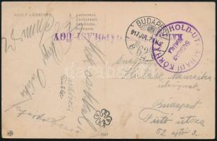 1917 Tábori posta képeslap / Field postcard "HOLD-UTCAI HADIKÓRHÁZ"
