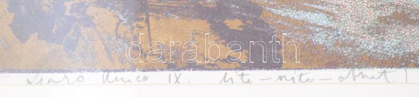 Swierkiewicz Róbert (1942-): Cosili botanico.IX. Litográfia, szitanyomat, ofszet. Jelzett, 59x85 cm ...