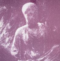 Swierkiewicz Róbert (1942-): Cosili botanico.I. ofszet, papír Jelzett, 59x85 cm Üvegezett keretben s...