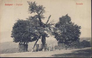 Budapest XII. Normafa