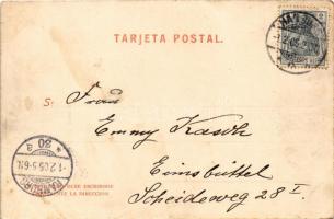 1905 Talcahuano, Plazuela del Jardin. Carlos Brandt No. 10. / garden square, market, ox cart (EK)