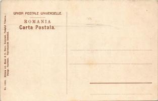 Sinaia, Vedere din Parc a Muntilor Bucegi. Ad. Maier &amp; D. Stern (Bucuresti) / general view, ...