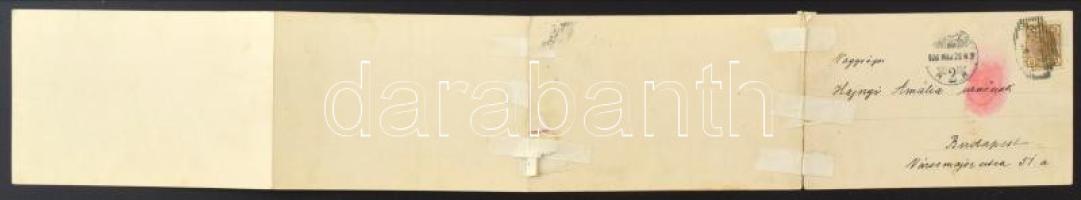 1906 Sankt Radegund bei Graz (Steiermark), Wasserheilanstalt / general view, spa. 4-tiled folding pa...