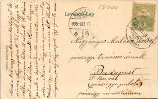 1905 Léva, Levice; Kossuth tér, Lang központi kávéháza, Barsmegyei Népbank, üzletek. Schulcz Ignác k...