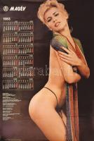 1983 MAGÉV szolidan erotikus naptár-plakát, feltekerve, szélén kis sérülésekkel, 96x68 cm