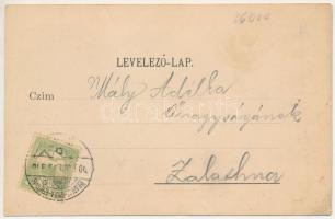 1903 Zám, Sameschdorf, Zam; vízimalom, Maros rész faúsztató tutajosokkal, Bienenstock Sándor üzlete ...