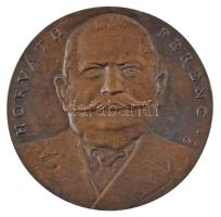 DN "Horváth Ferenc" kétoldalas, öntött bronz plakett, nem eredeti tokban. Szign.: GYL (~118-120mm) T:AU