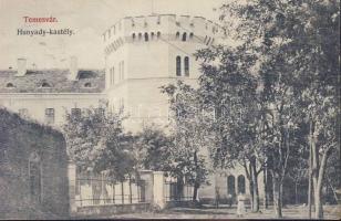 Temesvár Hunyady castle (EK)