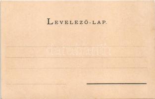 Segesvár, Schässburg, Sighisoara; látkép / general view