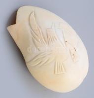 Béke galambot ábrázoló faragott kagyló, rajta apró hajszálrepedéssel és lyukkal 24 cm