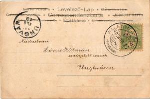 1902 Cigány muzsikus / Gypsy musician, litho (EK)