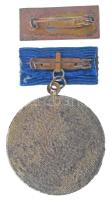 ~1970-1980. "MÁV Szolgálati Emlékérem" 40 év után műgyantás jelvény eredeti tokban, miniat...