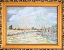 Julius Coloman Major: Tavaszi táj. Olaj, farost. 30x40 cm. Dekoratív fakeretben.