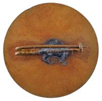 ~1940. "Szilágyi Erzsébet Gimnázium - Budapest" zománcozott bronz jelvény (28mm) T:AU