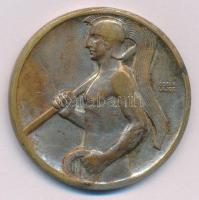Berán Lajos (1882-1943) ~1920. "Ferencz Városi Torna Club (Ferencváros, FTC, Fradi)" ezüstözött bronz sportérem (40mm) T:XF patina, ezüstözés kopott
