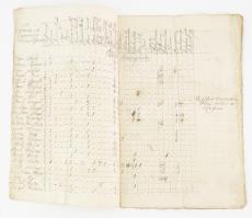 1765 Ugocsa megyei (Fáncsika, Nagyszöllős, Keresztúr, Tiszaújlak...) és környéki háziállat összeírás...