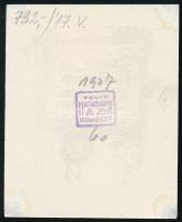 Haranghy Jenő (1894-1951): Erődi Harrach Tihamér könyvtára (ex libris). Vonalas klisé, papír, jelzet...