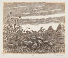 Varga Mátyás (1910-2002): 4 db rézkarc. Jelzett 19x28 cm