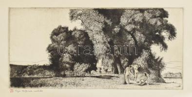 Kaveczky Zoltán (1897-1965):2 db rézkarc, Varga Mátyás (1910-2002)nak dedikált 19x39 cm ig