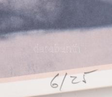 Baranyai András (1938-2016): Egy művéről készült 80 db művészi nagyítás. Egy jelzett. a többi jelzet...